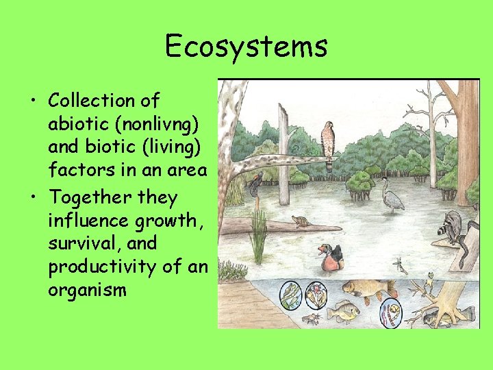 Ecosystems • Collection of abiotic (nonlivng) and biotic (living) factors in an area •