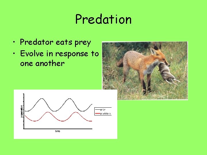 Predation • Predator eats prey • Evolve in response to one another 