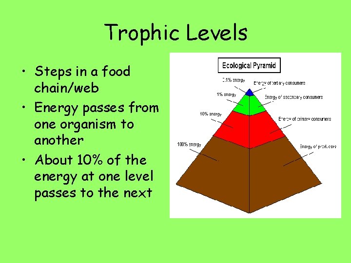Trophic Levels • Steps in a food chain/web • Energy passes from one organism