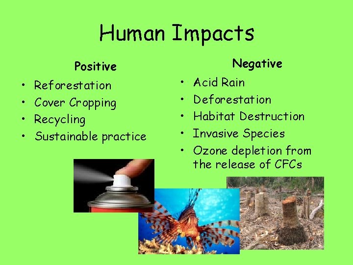 Human Impacts Positive • • Reforestation Cover Cropping Recycling Sustainable practice Negative • •