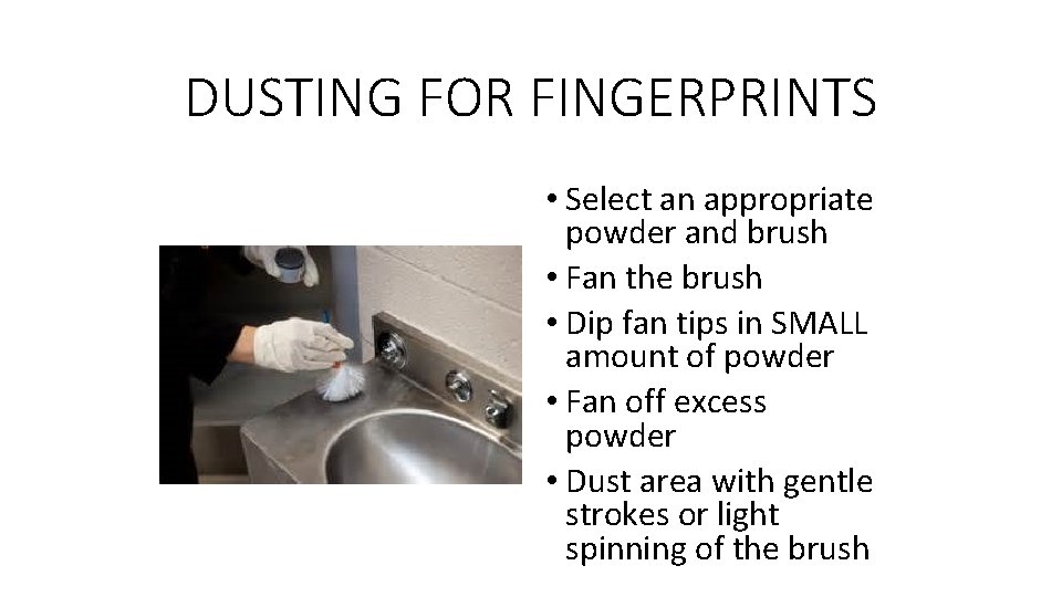DUSTING FOR FINGERPRINTS • Select an appropriate powder and brush • Fan the brush