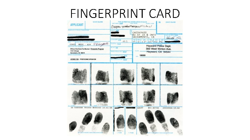 FINGERPRINT CARD 