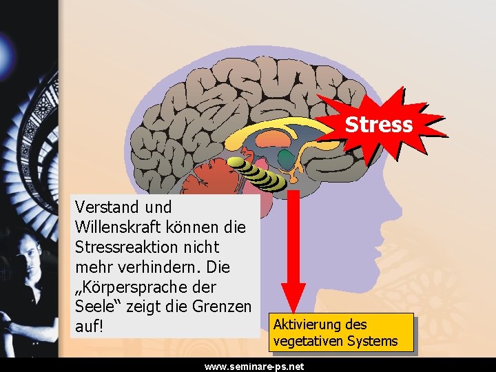 Stress Verstand und Willenskraft können die Stressreaktion nicht mehr verhindern. Die „Körpersprache der Seele“