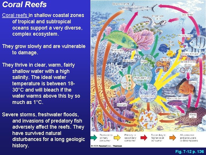 Coral Reefs Coral reefs in shallow coastal zones of tropical and subtropical oceans support