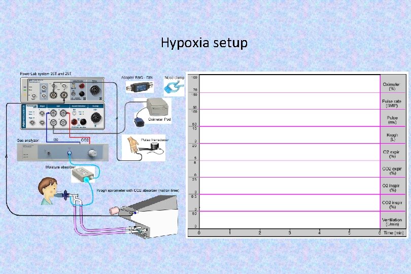 Hypoxia setup 