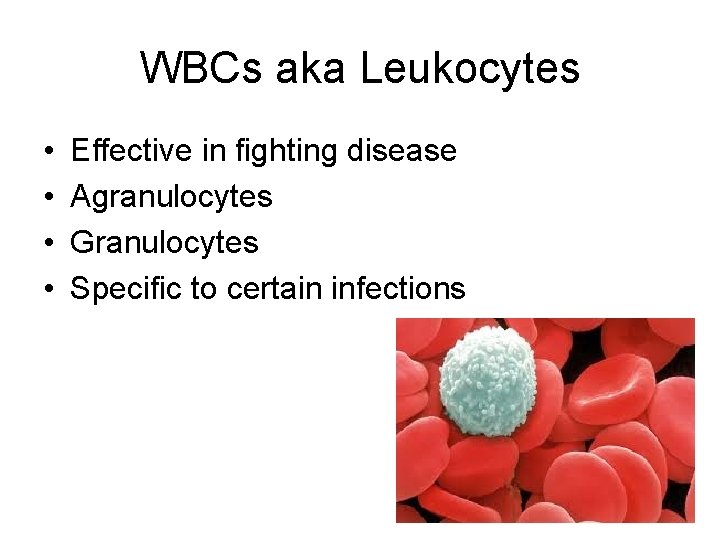 WBCs aka Leukocytes • • Effective in fighting disease Agranulocytes Granulocytes Specific to certain