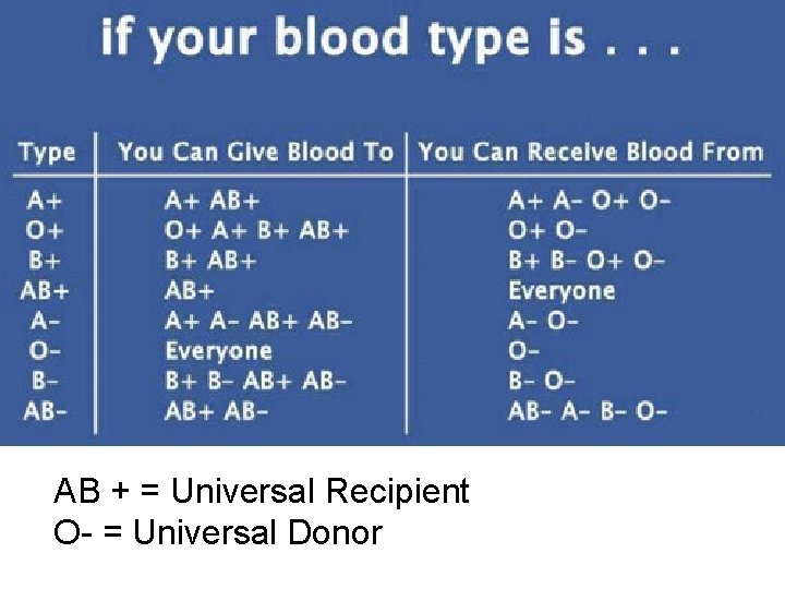 AB + = Universal Recipient O- = Universal Donor 