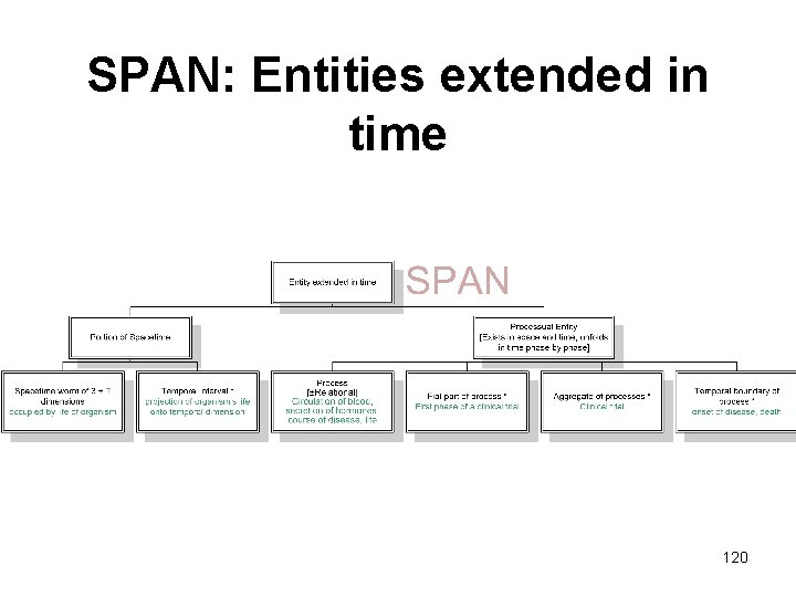 SPAN: Entities extended in time 120 