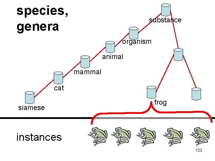 species, genera substance organism animal mammal cat siamese frog instances 153 