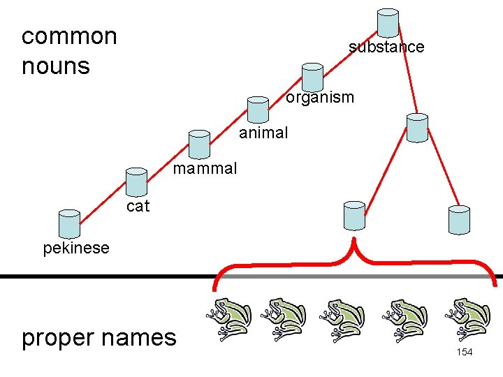 common nouns substance Common nouns organism animal mammal cat pekinese proper names 154 