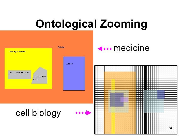 Ontological Zooming medicine cell biology 24 