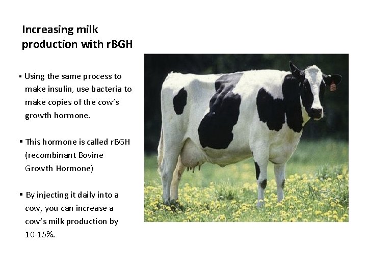 Increasing milk production with r. BGH § Using the same process to make insulin,
