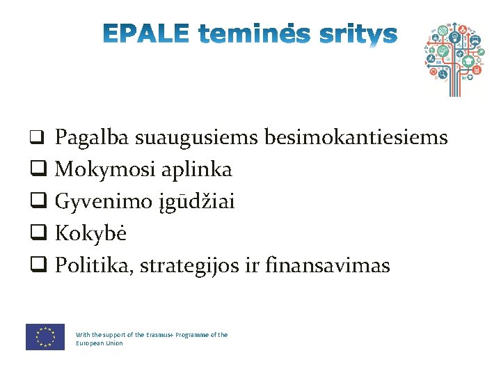 q Pagalba suaugusiems besimokantiesiems q Mokymosi aplinka q Gyvenimo įgūdžiai q Kokybė q Politika,