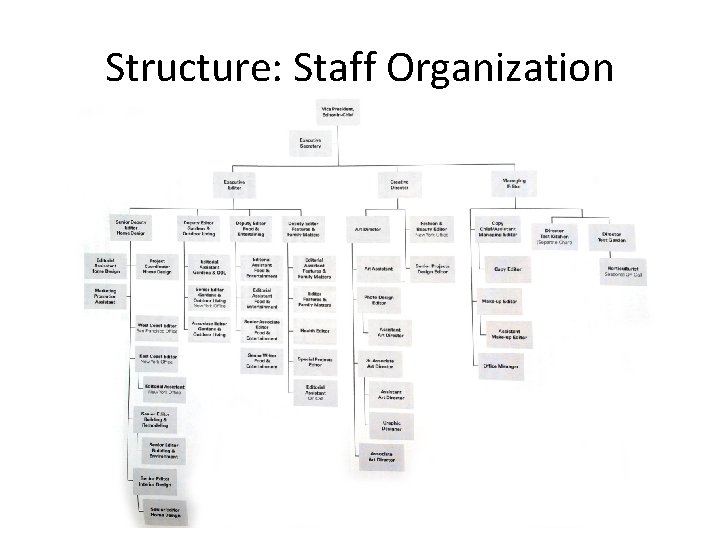 Structure: Staff Organization 