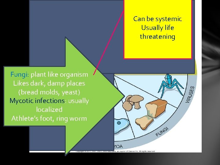 Can be systemic Usually life threatening Fungi: plant like organism Likes dark, damp places