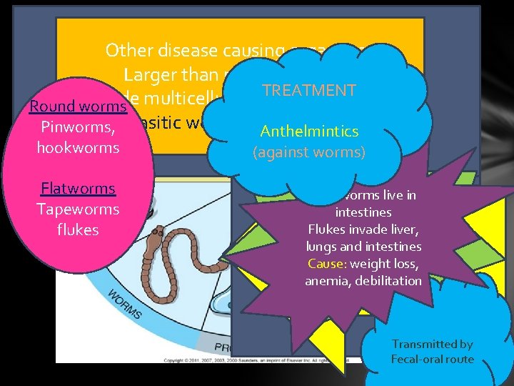 Other disease causing organisms Larger than microorganisms TREATMENT Include multicellular organisms such as Round
