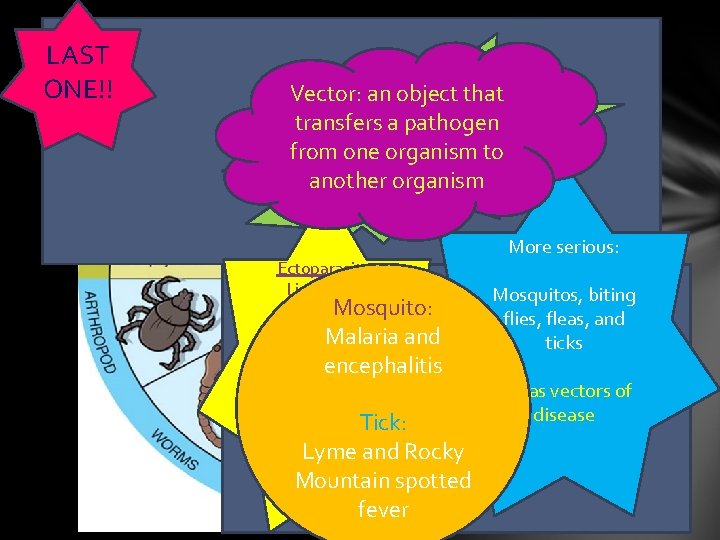 LAST ONE!! Vector: an object that ARTHROPODS transfers a pathogen with jointed from. Animals