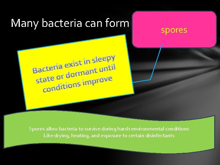 Many bacteria can form spores y p e e l s in t s