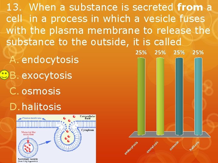 13. When a substance is secreted from a cell in a process in which