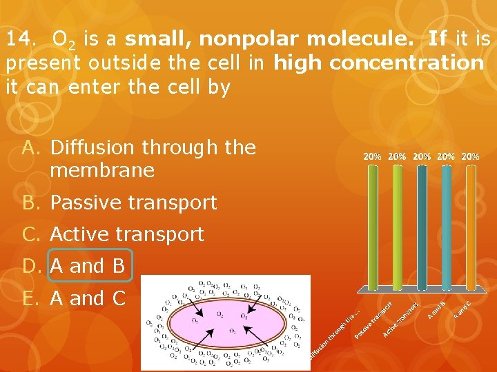 14. O 2 is a small, nonpolar molecule. If it is present outside the