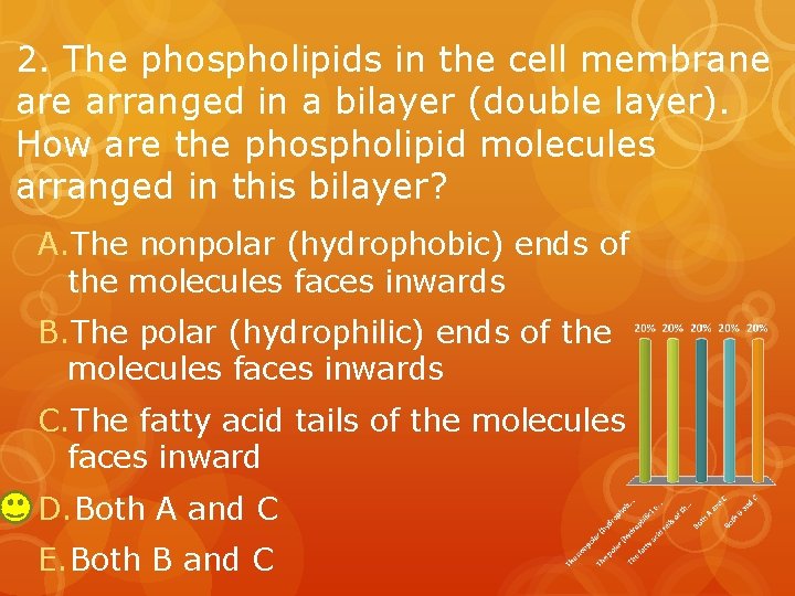 2. The phospholipids in the cell membrane arranged in a bilayer (double layer). How