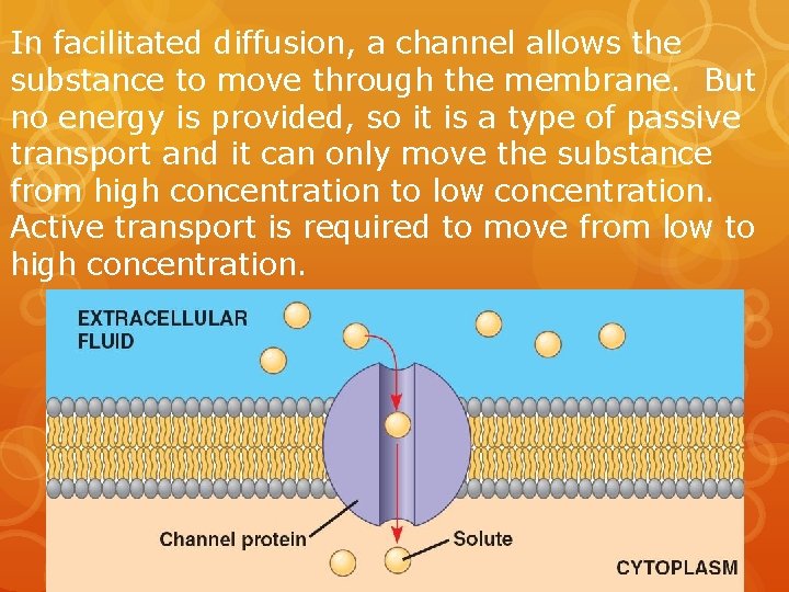In facilitated diffusion, a channel allows the substance to move through the membrane. But