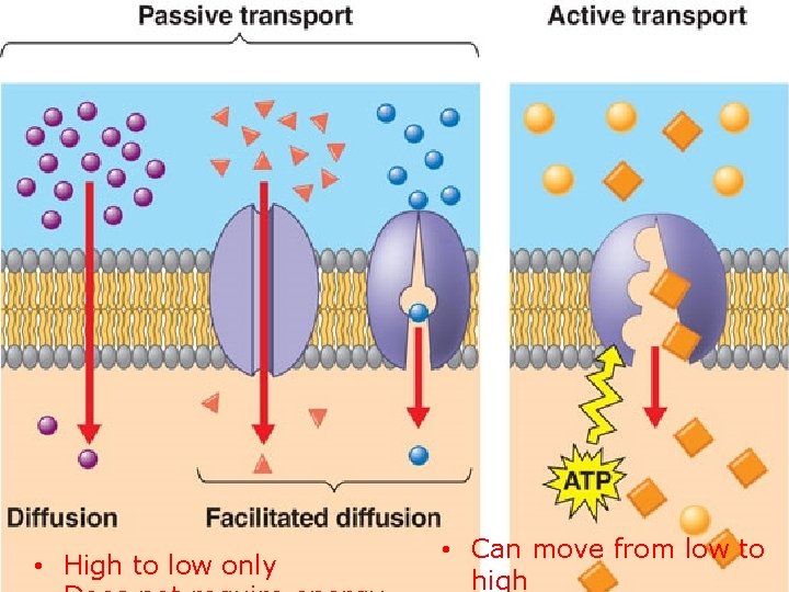  • High to low only • Can move from low to high 