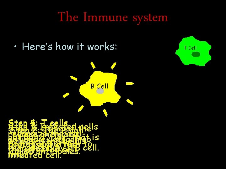 The Immune system • Here’s how it works: Step 4: T cells 5: Step