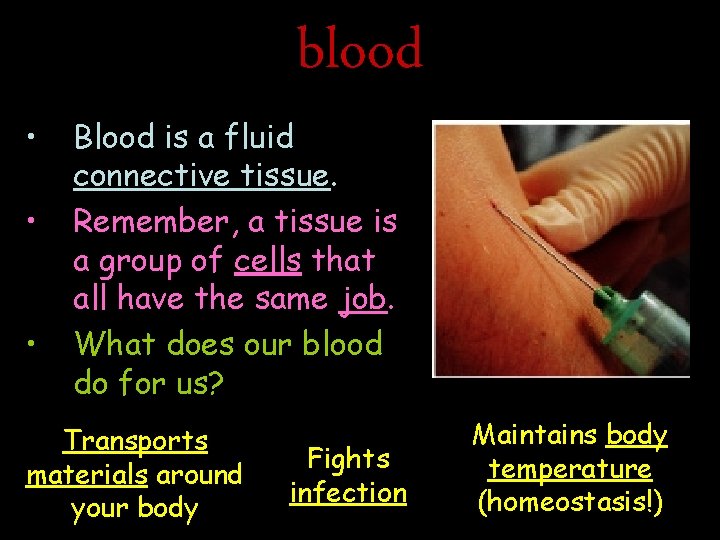  • • • blood Blood is a fluid connective tissue. Remember, a tissue