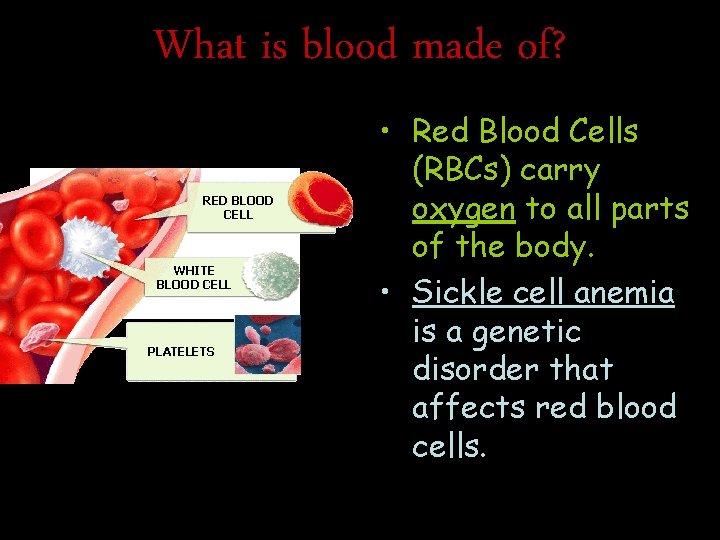 What is blood made of? RED BLOOD CELL WHITE BLOOD CELL PLATELETS • Red