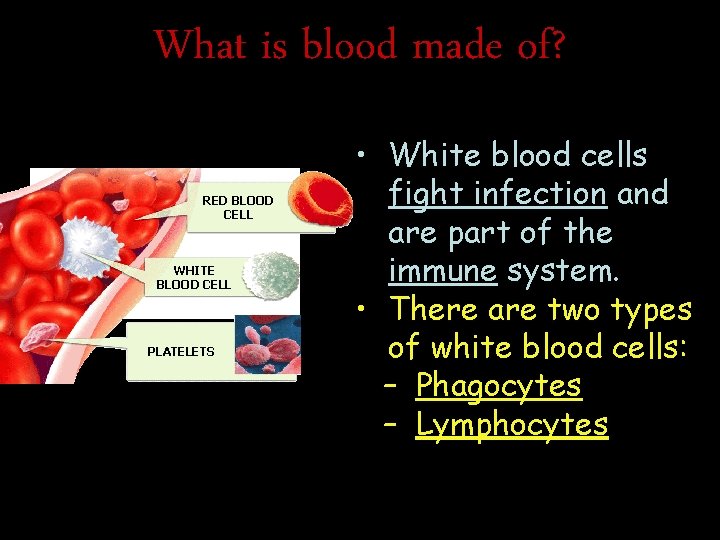 What is blood made of? RED BLOOD CELL WHITE BLOOD CELL PLATELETS • White