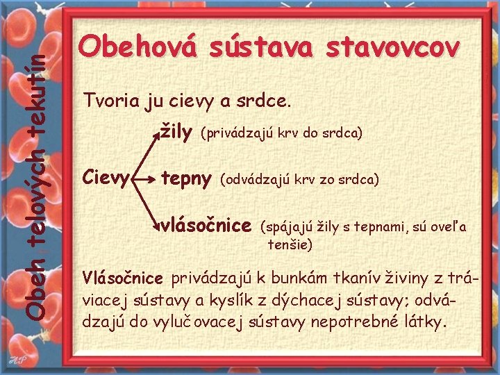 Obeh telových tekutín Obehová sústava stavovcov Tvoria ju cievy a srdce. žily Cievy (privádzajú