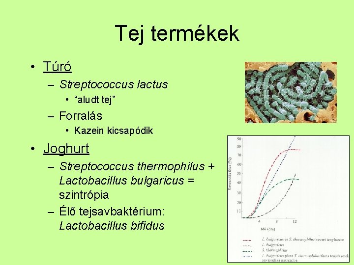 Tej termékek • Túró – Streptococcus lactus • “aludt tej” – Forralás • Kazein