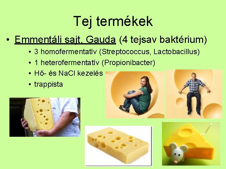 Tej termékek • Emmentáli sajt, Gauda (4 tejsav baktérium) • • 3 homofermentatív (Streptococcus,