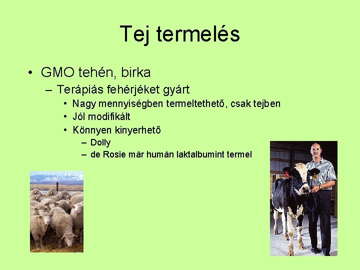 Tej termelés • GMO tehén, birka – Terápiás fehérjéket gyárt • Nagy mennyiségben termeltethető,