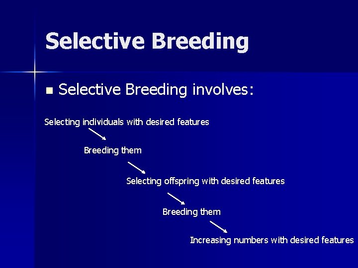 Selective Breeding n Selective Breeding involves: Selecting individuals with desired features Breeding them Selecting