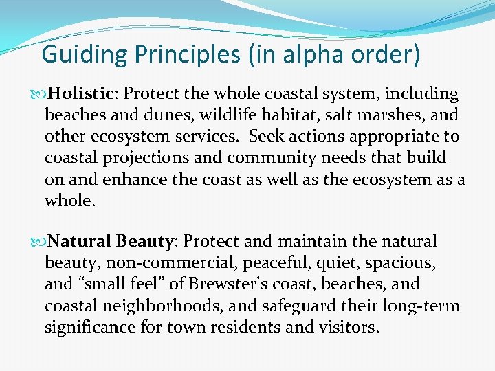 Guiding Principles (in alpha order) Holistic: Protect the whole coastal system, including beaches and