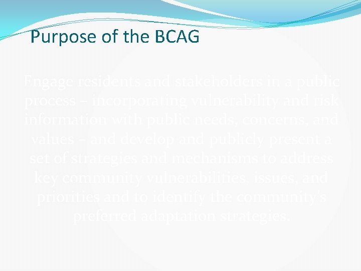 Purpose of the BCAG Engage residents and stakeholders in a public process – incorporating