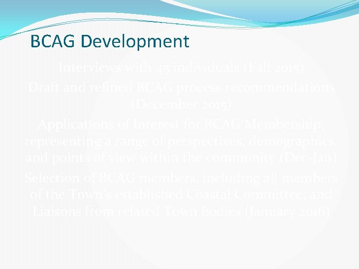 BCAG Development Interviews with 45 individuals (Fall 2015) Draft and refined BCAG process recommendations