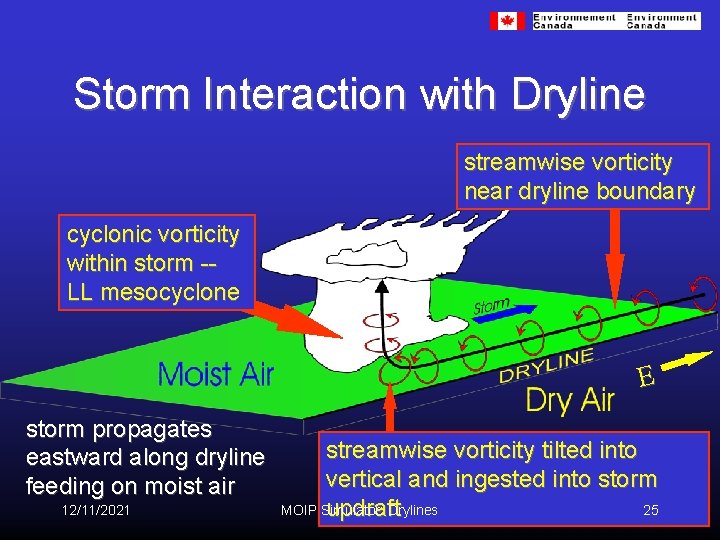 Storm Interaction with Dryline streamwise vorticity near dryline boundary cyclonic vorticity within storm -LL