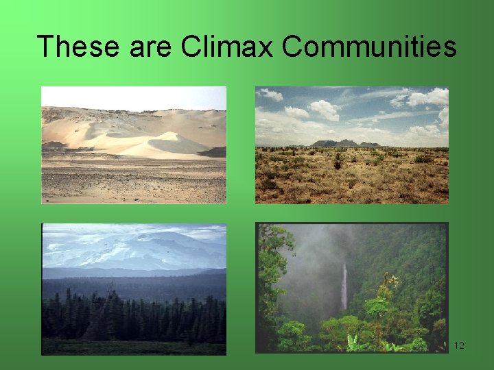 These are Climax Communities 12 