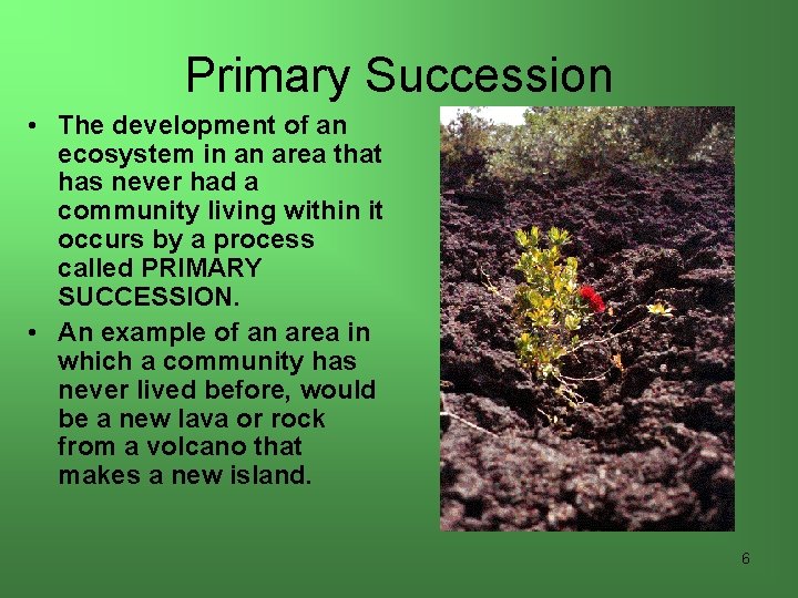 Primary Succession • The development of an ecosystem in an area that has never