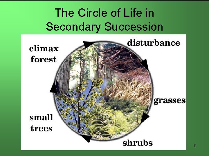 The Circle of Life in Secondary Succession 9 