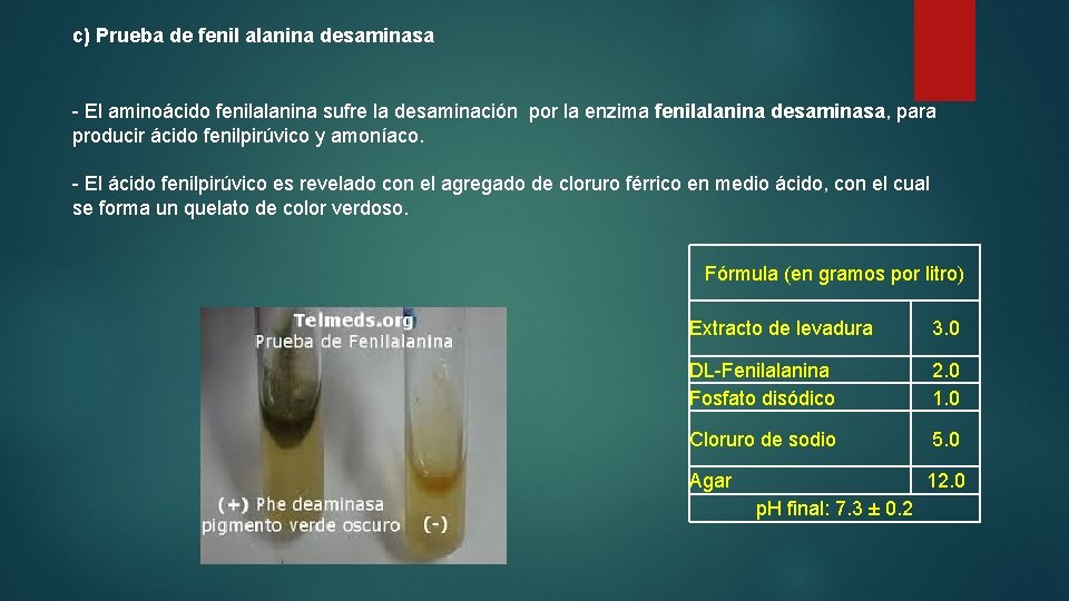 c) Prueba de fenil alanina desaminasa - El aminoácido fenilalanina sufre la desaminación por