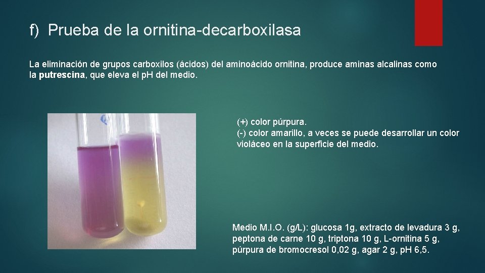 f) Prueba de la ornitina-decarboxilasa La eliminación de grupos carboxilos (ácidos) del aminoácido ornitina,