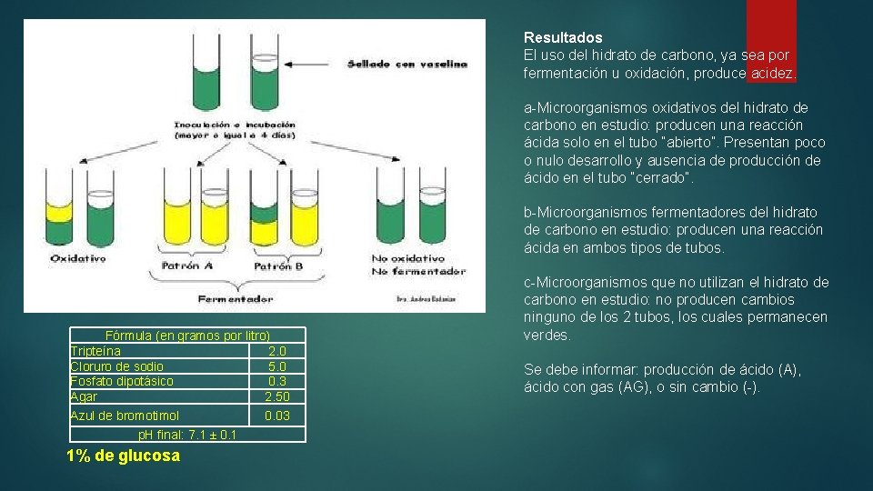 Resultados El uso del hidrato de carbono, ya sea por fermentación u oxidación, produce