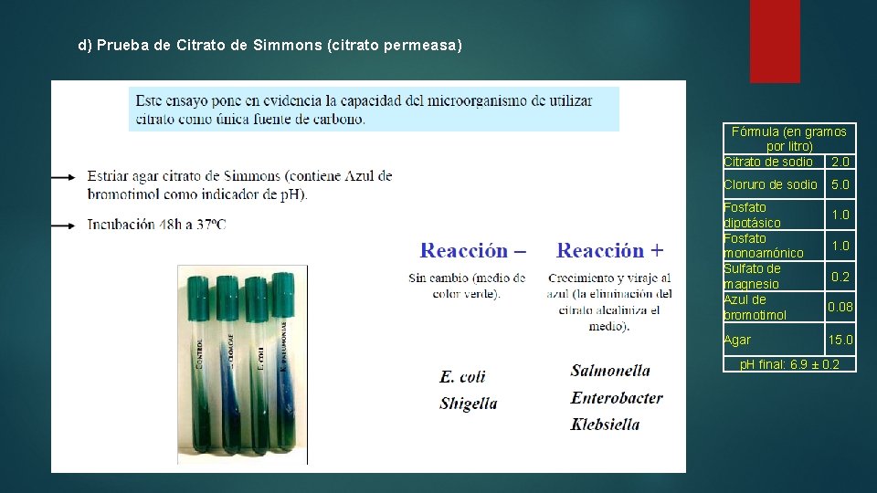 d) Prueba de Citrato de Simmons (citrato permeasa) Fórmula (en gramos por litro) Citrato