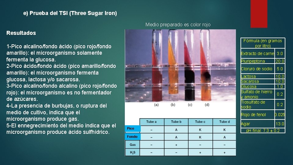 e) Prueba del TSI (Three Sugar Iron) Medio preparado es color rojo Resultados 1