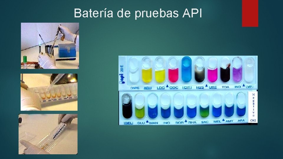 Batería de pruebas API 