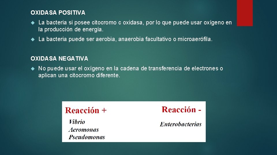 OXIDASA POSITIVA La bacteria si posee citocromo c oxidasa, por lo que puede usar